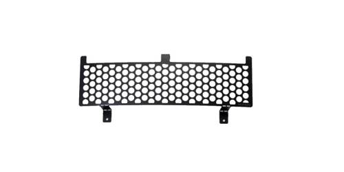 Grille - Bumper Valance Grille Insert