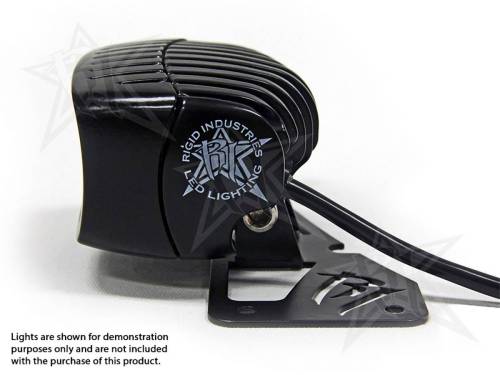 Exterior Lighting - Tail Light Assembly