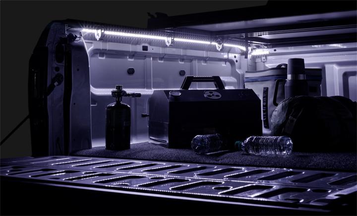 ACI - ACI 80170 ACCESS LED Light