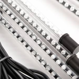 Rugged Ridge - Rugged Ridge 11250.09 Interior Courtesy Lights Kit - Image 2