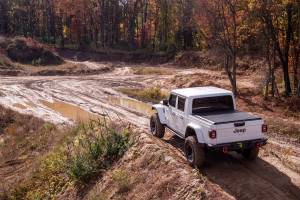 N-Fab - N-Fab TSJ194-TX TrailSlider Step System - Image 5