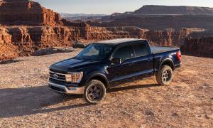 Bushwacker - Bushwacker 20944-02 OE Style Fender Flares - Image 4